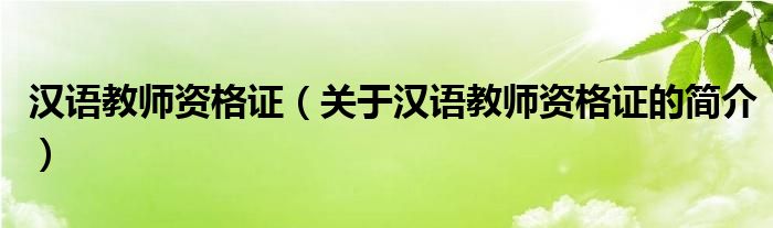 漢語教師資格證（關于漢語教師資格證的簡介）