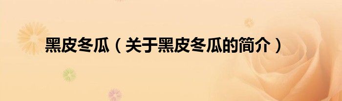 黑皮冬瓜（關(guān)于黑皮冬瓜的簡(jiǎn)介）