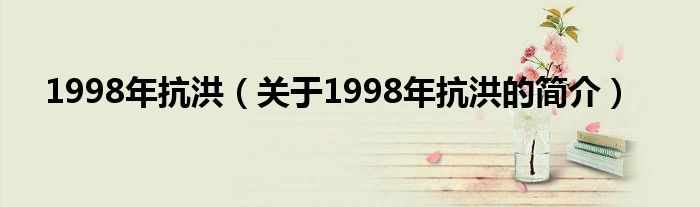 1998年抗洪（關于1998年抗洪的簡介）