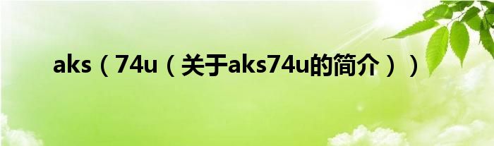 aks（74u（關(guān)于aks74u的簡介））