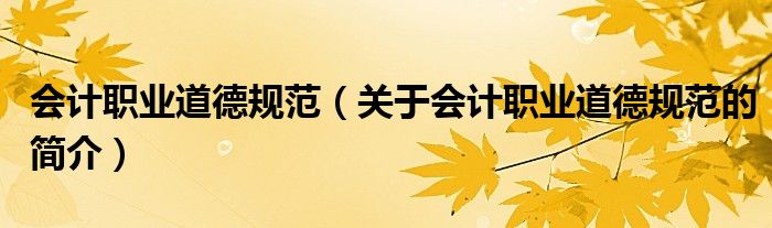 會計職業(yè)道德規(guī)范（關于會計職業(yè)道德規(guī)范的簡介）