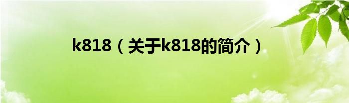 k818（關(guān)于k818的簡介）