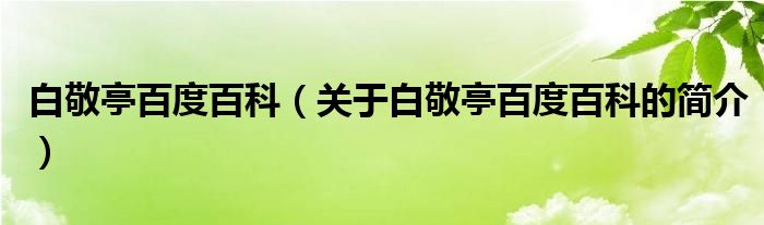 白敬亭百度百科（關(guān)于白敬亭百度百科的簡(jiǎn)介）