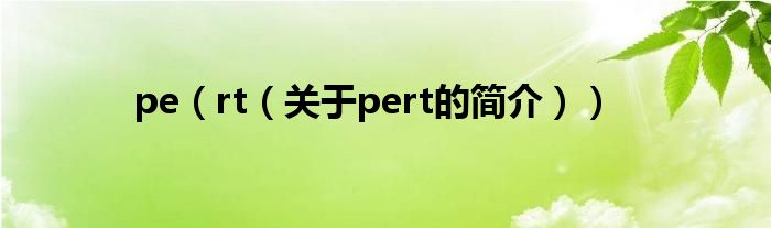 pe（rt（關(guān)于pert的簡介））