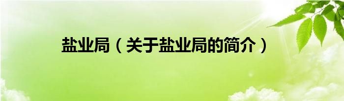 鹽業(yè)局（關(guān)于鹽業(yè)局的簡介）