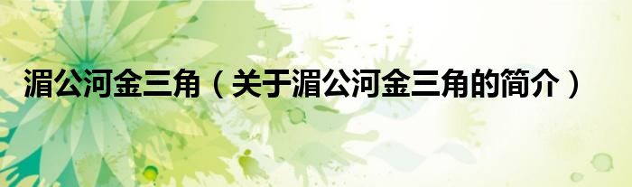 湄公河金三角（關(guān)于湄公河金三角的簡(jiǎn)介）