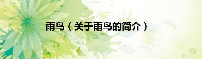 雨鳥(niǎo)（關(guān)于雨鳥(niǎo)的簡(jiǎn)介）