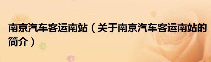 南京汽車客運南站（關(guān)于南京汽車客運南站的簡介）