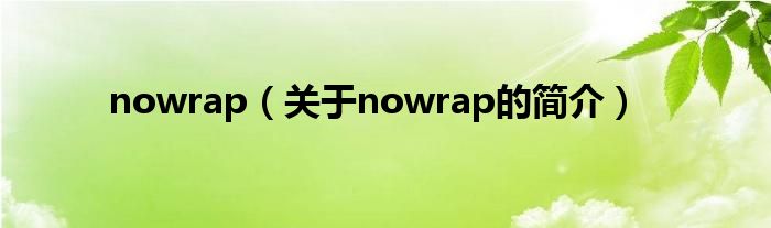 nowrap（關(guān)于nowrap的簡(jiǎn)介）