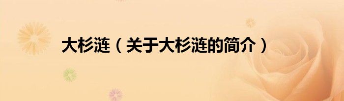 大杉漣（關(guān)于大杉漣的簡(jiǎn)介）