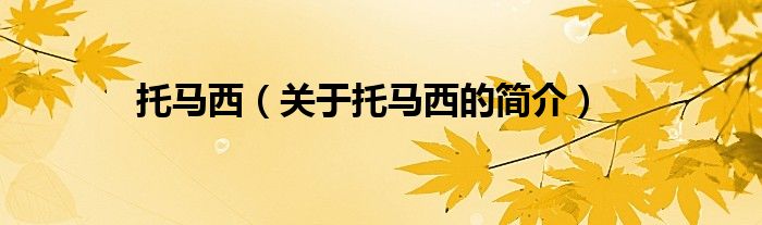 托馬西（關(guān)于托馬西的簡(jiǎn)介）