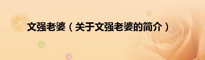 文強(qiáng)老婆（關(guān)于文強(qiáng)老婆的簡介）