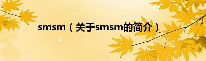 smsm（關(guān)于smsm的簡(jiǎn)介）