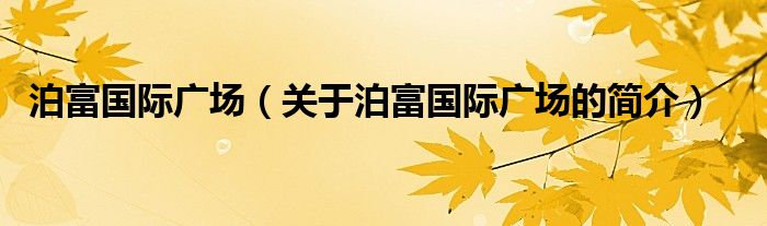 泊富國際廣場（關(guān)于泊富國際廣場的簡介）