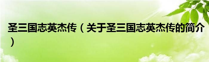 圣三國(guó)志英杰傳（關(guān)于圣三國(guó)志英杰傳的簡(jiǎn)介）