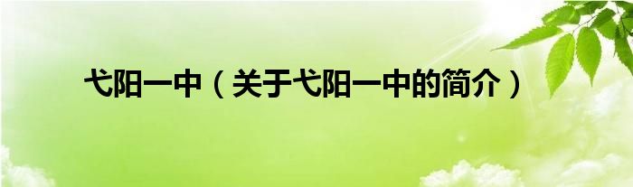 弋陽一中（關(guān)于弋陽一中的簡(jiǎn)介）