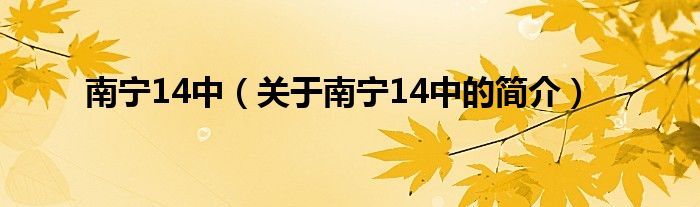 南寧14中（關于南寧14中的簡介）