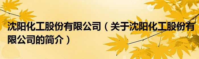 沈陽化工股份有限公司（關(guān)于沈陽化工股份有限公司的簡(jiǎn)介）