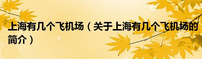 上海有幾個飛機場（關于上海有幾個飛機場的簡介）