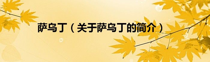 薩烏?。P(guān)于薩烏丁的簡(jiǎn)介）