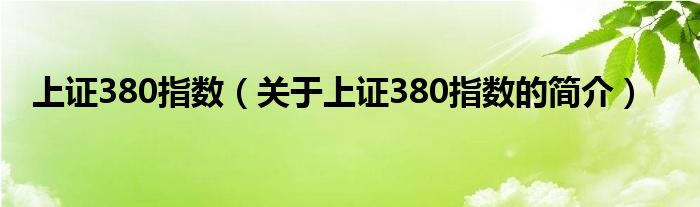 上證380指數(shù)（關(guān)于上證380指數(shù)的簡(jiǎn)介）