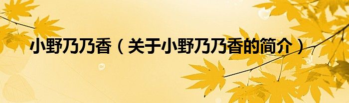 小野乃乃香（關于小野乃乃香的簡介）