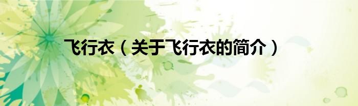 飛行衣（關(guān)于飛行衣的簡(jiǎn)介）