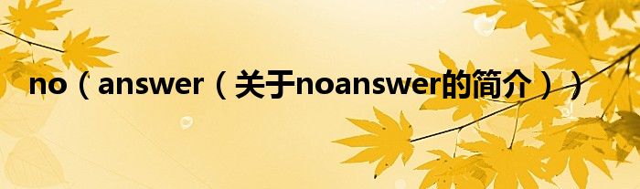 no（answer（關(guān)于noanswer的簡(jiǎn)介））