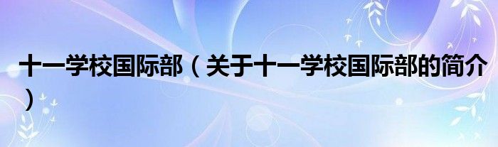 十一學(xué)校國(guó)際部（關(guān)于十一學(xué)校國(guó)際部的簡(jiǎn)介）