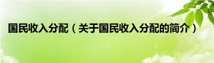 國(guó)民收入分配（關(guān)于國(guó)民收入分配的簡(jiǎn)介）