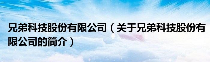 兄弟科技股份有限公司（關(guān)于兄弟科技股份有限公司的簡介）