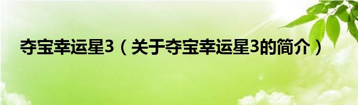 奪寶幸運(yùn)星3（關(guān)于奪寶幸運(yùn)星3的簡(jiǎn)介）