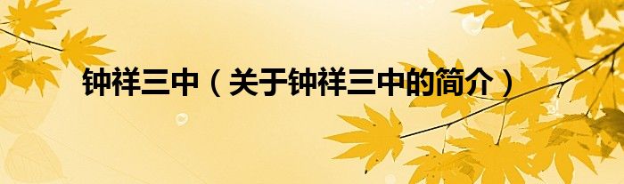 鐘祥三中（關(guān)于鐘祥三中的簡(jiǎn)介）