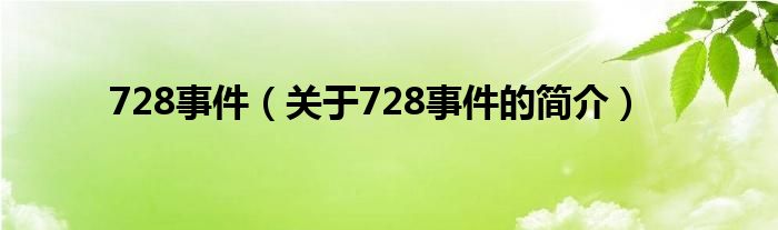 728事件（關于728事件的簡介）