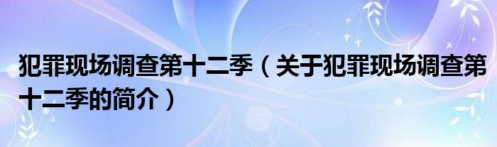 犯罪現(xiàn)場調(diào)查第十二季（關(guān)于犯罪現(xiàn)場調(diào)查第十二季的簡介）