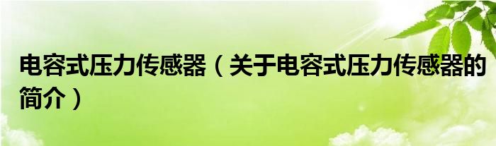 電容式壓力傳感器（關(guān)于電容式壓力傳感器的簡介）