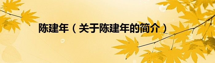 陳建年（關(guān)于陳建年的簡介）