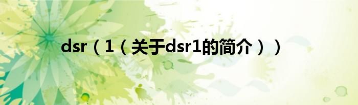 dsr（1（關(guān)于dsr1的簡(jiǎn)介））