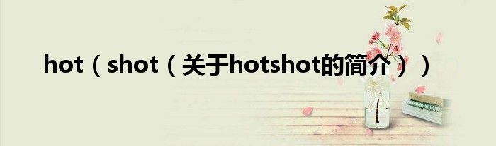 hot（shot（關(guān)于hotshot的簡介））