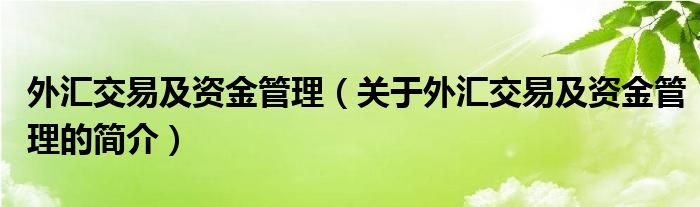 外匯交易及資金管理（關于外匯交易及資金管理的簡介）