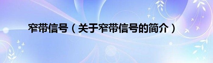 窄帶信號（關于窄帶信號的簡介）