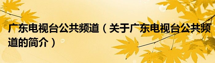 廣東電視臺公共頻道（關(guān)于廣東電視臺公共頻道的簡介）