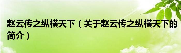 趙云傳之縱橫天下（關(guān)于趙云傳之縱橫天下的簡介）