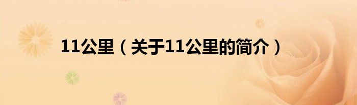 11公里（關(guān)于11公里的簡介）