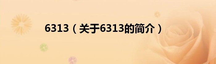 6313（關(guān)于6313的簡(jiǎn)介）