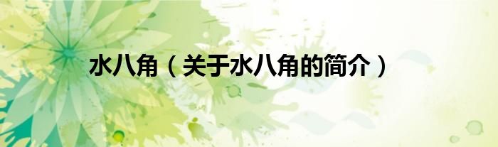 水八角（關(guān)于水八角的簡(jiǎn)介）