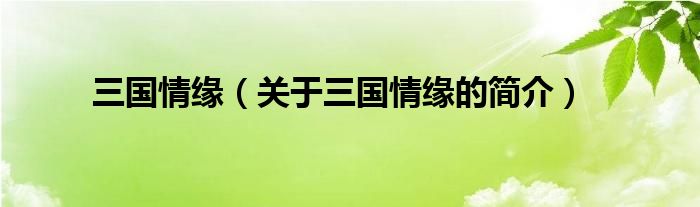 三國(guó)情緣（關(guān)于三國(guó)情緣的簡(jiǎn)介）