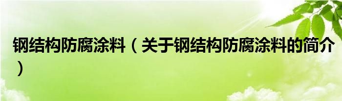 鋼結(jié)構(gòu)防腐涂料（關(guān)于鋼結(jié)構(gòu)防腐涂料的簡介）