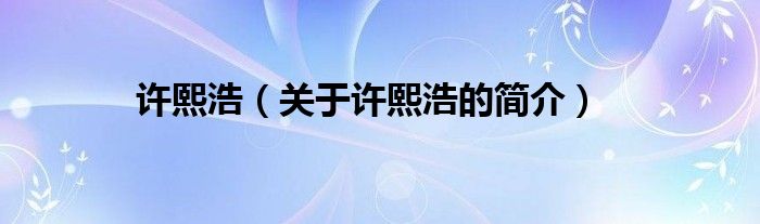 許熙浩（關于許熙浩的簡介）