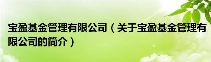 寶盈基金管理有限公司（關(guān)于寶盈基金管理有限公司的簡(jiǎn)介）